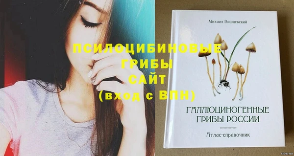 сатива Алексин