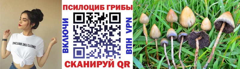 что такое наркотик  Фатеж  нарко площадка какой сайт  Галлюциногенные грибы MAGIC MUSHROOMS 
